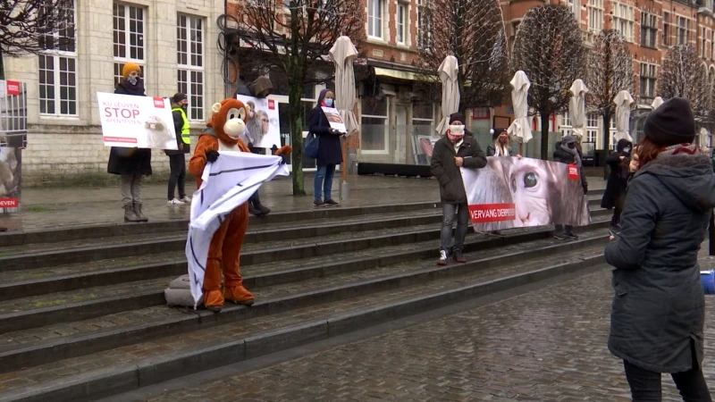 Animal Rights verzamelt 100.000 handtekeningen tegen dierenproeven
