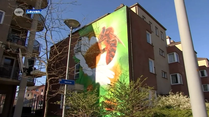 TUZQ pakt uit met nieuw pareltje op gevel van buurtcentrum Mannenstraat in Leuven