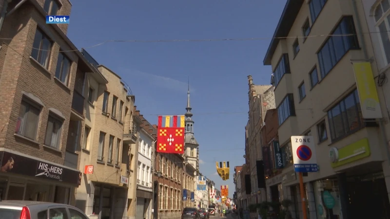 "De feiten vinden plaats in enkele seconden", vandalen bekrassen auto's in centrum Diest