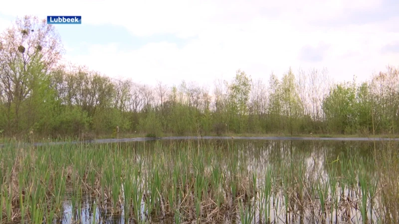 Een muur in het midden van een natuurgebied: oeverzwaluwwand moet de vogelpopulatie redden