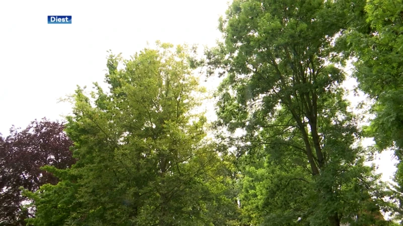 "Unieke locatie om te trouwen", eerste koppel geeft jawoord in Parck Cerckel in Diest