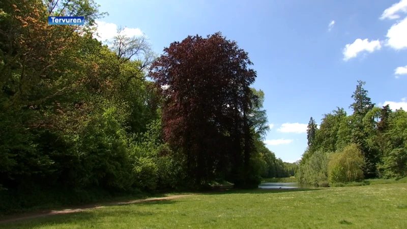 170 kilometer wandelpaden in nieuw wandelnetwerk in Zoniënwoud, waaronder in Tervuren