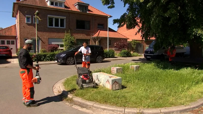 Maai Mei Niet zit erop: steden en gemeenten halen grasmaaiers weer (een beetje) boven