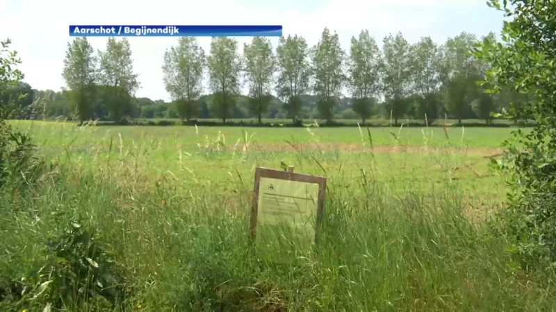 Al 150 bezwaarschriften van buurtbewoners tegen nieuwe aanvraag voor de bouw van twee windturbines aan Nieuwland