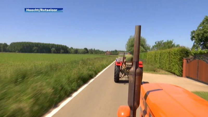 Tachtig oldtimertractoren razen door Haacht en Rotselaar: "Eindelijk weer buiten, dit is ons leven"