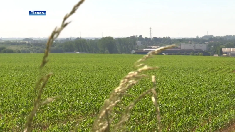 Buurtbewoners protesteren tegen uitbreiding industrieterrein Soldatenveld in Tienen: "Tien jaar voor de gek gehouden"