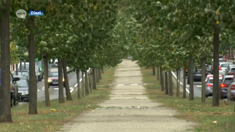 Groen Diest wil een extra boom per inwoner planten