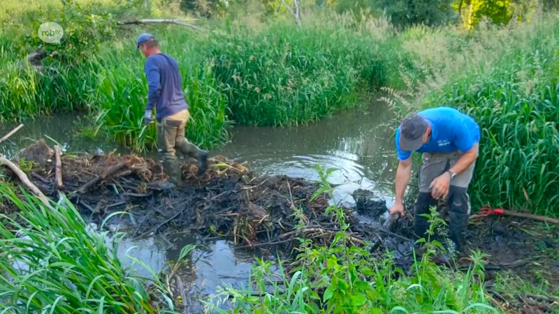 Beverdammen zorgen voor ondergelopen kelders in Tremelo: provincie beslist om dammen te verlagen