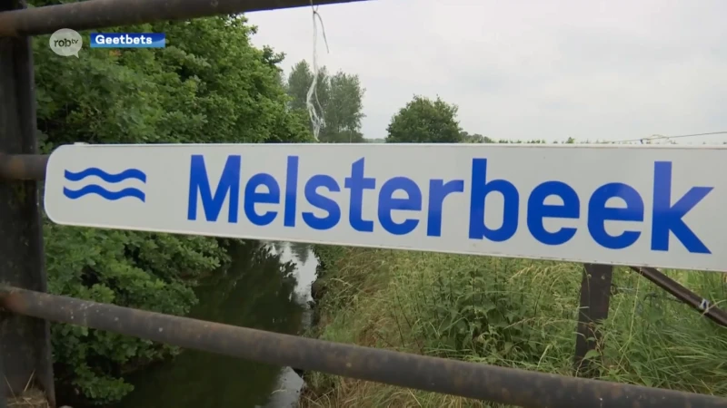 Paling met hoogste PFOS-concentratie komt uit Melsterbeek die door Geetbets stroomt: "3 keer hoger dan Antwerpen"