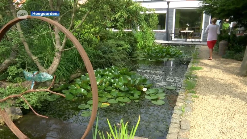 Open Tuinen: ontdek in onder meer Hoegaarden hoe jij van jouw tuin een tuin van de toekomst kan maken