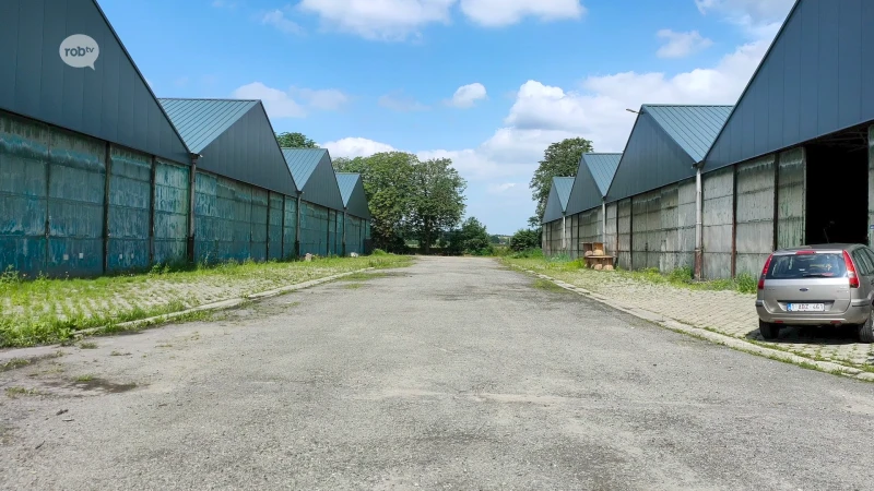 Strandfuif gaat na een jaartje afwezigheid dit jaar opnieuw door op 1 augustus
