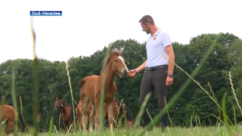 Ruiter Domien Michiels uit Oud-Heverlee mag op de valreep naar de Spelen: "Droom die uitkomt"