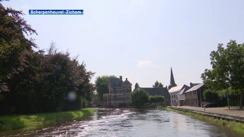 Peil Demer stijgt niet langer: stad graaft nieuwe tuimeldijk in Testelt, boetes voor wie jaagpaden opzoekt