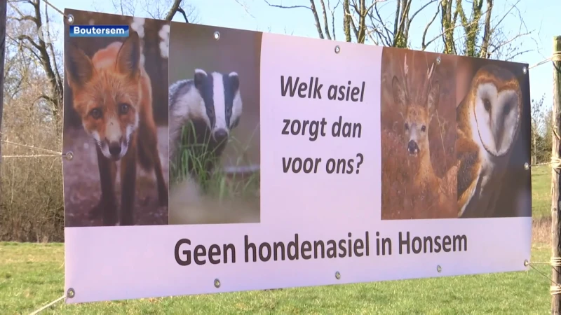 Boutersem verwerpt aanvraag voor nieuw dierenasiel in Honsem