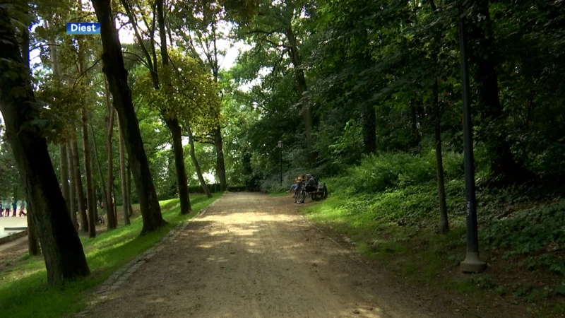 Diest start campagne met kleurrijke bakken tegen zwerfvuil in Warandepark
