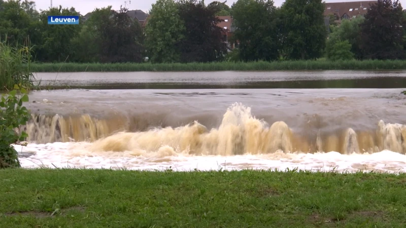 Natuurpunt Leuven vraagt rondetafelgesprek over toekomstige wateroverlast en droogte