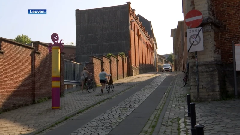 Bekijk hier hoe je het WK Wielrennen in Leuven kan bezoeken, en wat de gevolgen voor het verkeer zijn