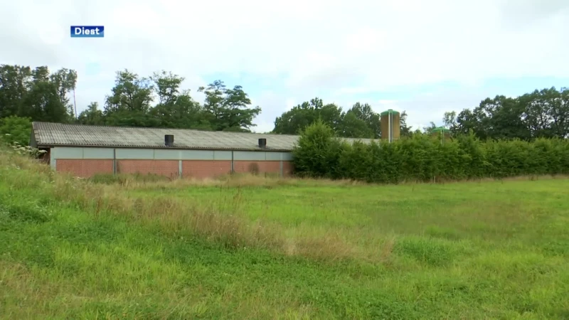 Varkensbedrijf uit Diest dat te veel stikstof uitstootte gaat tegen de vlakte en maakt plaats voor nieuw natuurgebied
