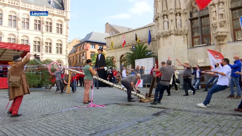 Hij staat! De Meyboom is (op tijd!) geplant op de Grote Markt van Leuven