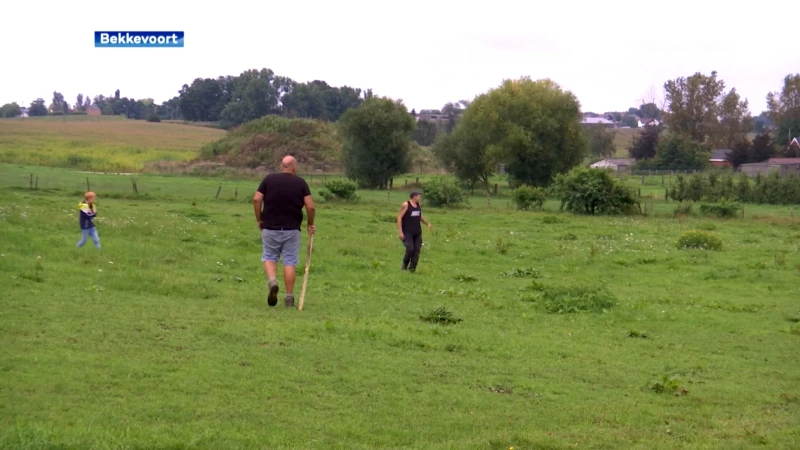 Dieven stelen waardevolle zadels en koets van paardeneigenaar: de schade is groot