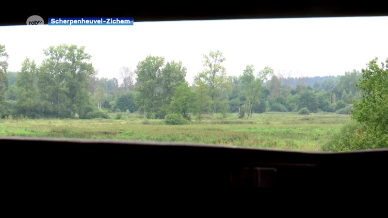 Een van de meest fotogenieke plaatsen van Vlaanderen en Nederland: de Demerbroeken