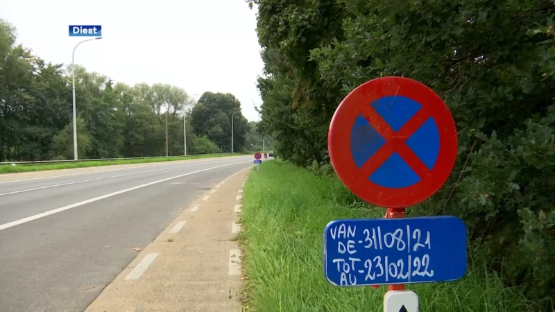 Parkeerstrook aan Schoonaerde in Diest wordt fietspad voor scholieren