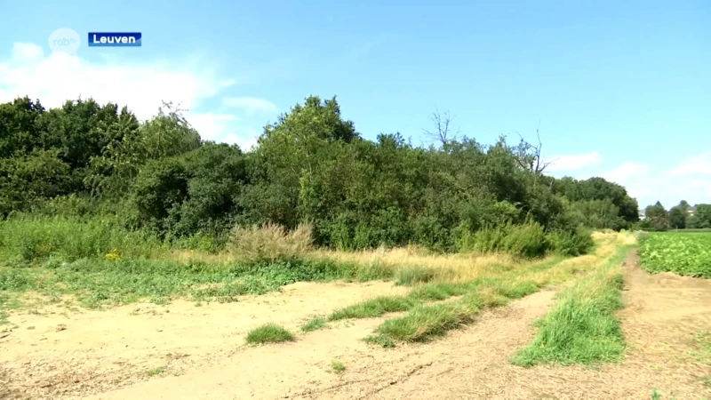 Tabula Rasa voor Parkveld in Leuven: stad herziet plannen en vraagt inspraak buurtbewoners