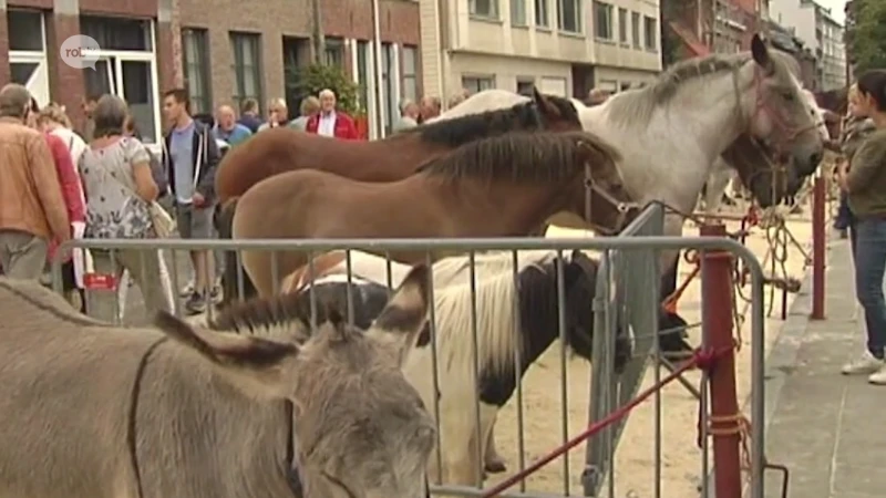 Vanaf dit jaar geen traditionele veemarkt meer op de jaarmarkt in Leuven: "Impulsaankopen vermijden"
