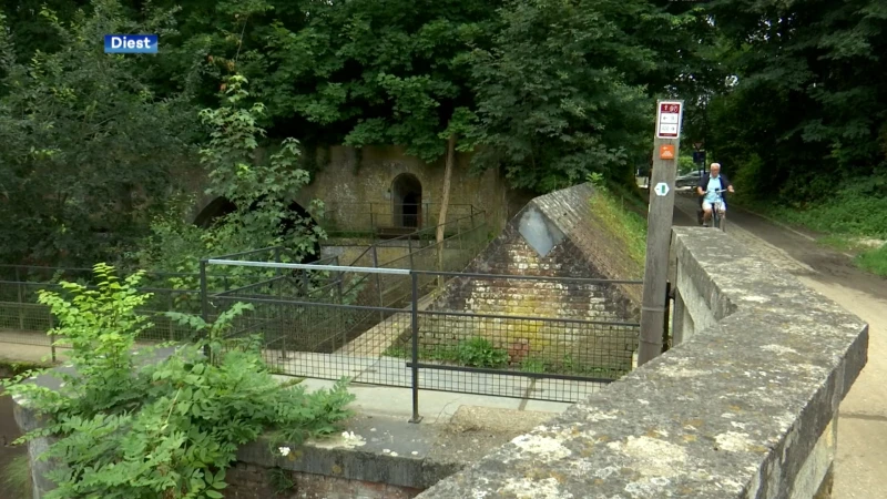 Webbekomsbroek krijgt nieuw jasje: rottende bomen weg en beter waterbeheer