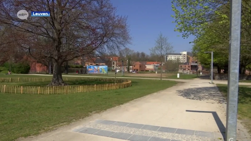 'Bende van het Bruulpark' riskeert meer dan 3,5 jaar gevangenisstraf voor verschillende feiten