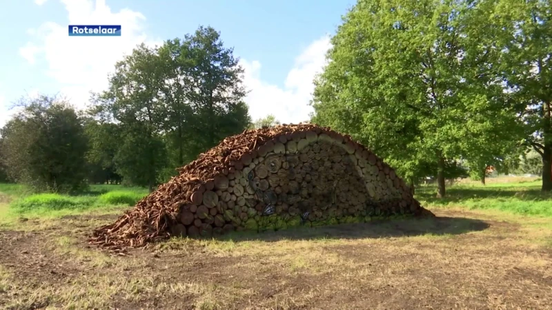 Indrukwekkend: Demertrefplek in Werchter heeft nieuwe bezienswaardigheid: