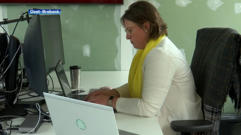 Het aantal freelancers in onze provincie blijft jaar na jaar stijgen