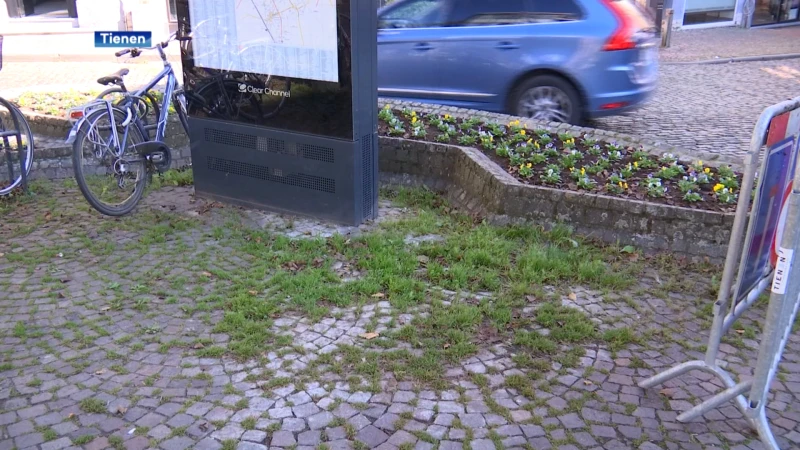 "Tiense Veemarkt ligt er niet netjes bij door onkruid", heraanleg is de oplossing