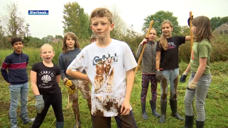 Basisschool uit Bierbeek helpt vandaag met hooien in de Weterbeekvallei