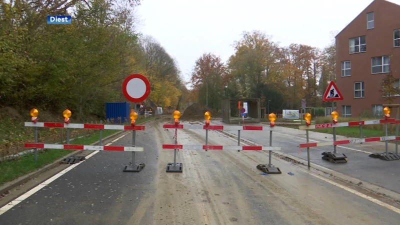 Omer Vanaudenhovelaan in Diest weer open door vertraging bij werken