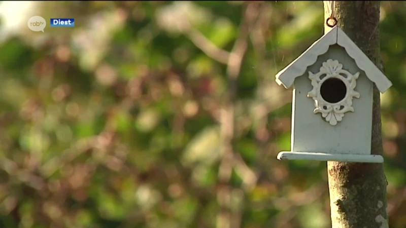 Diestse gemeenteraad keurt voorstel van oppositiepartij Groen om natuurbegraafplaats aan te leggen goed