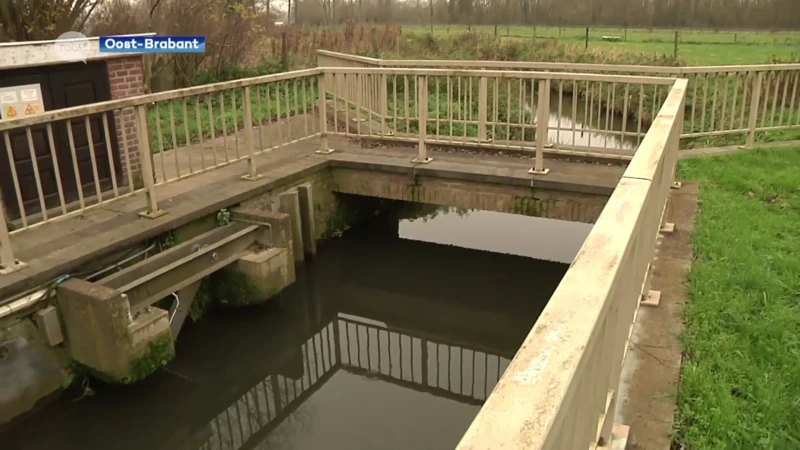 Grondwaterstanden in onze regio zijn opnieuw op peil