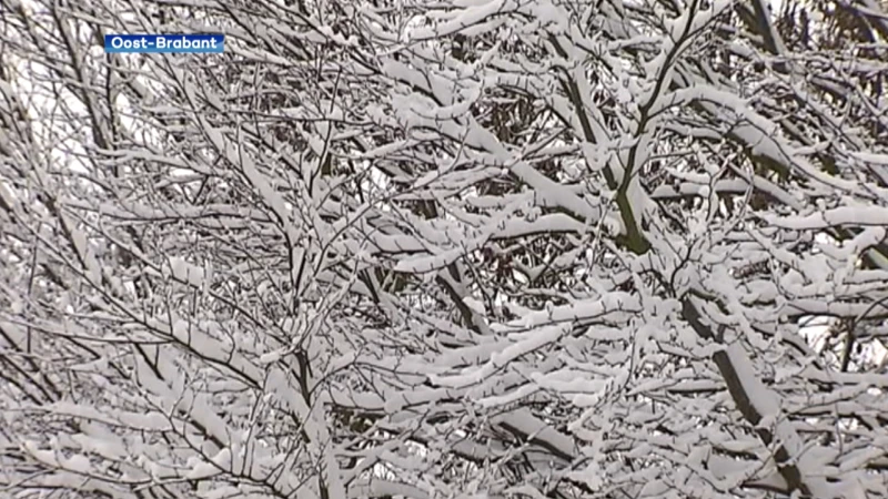Geen sneeuw op kerst maar misschien wel tijdens oud op nieuw?