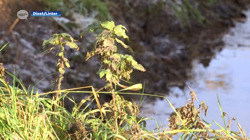 Provincie neemt maatregelen tegen wateroverlast in Diest en Linter