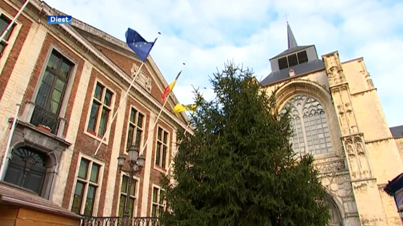 Diest investeert voor 30 000 euro in bewakingscamera's in de stad