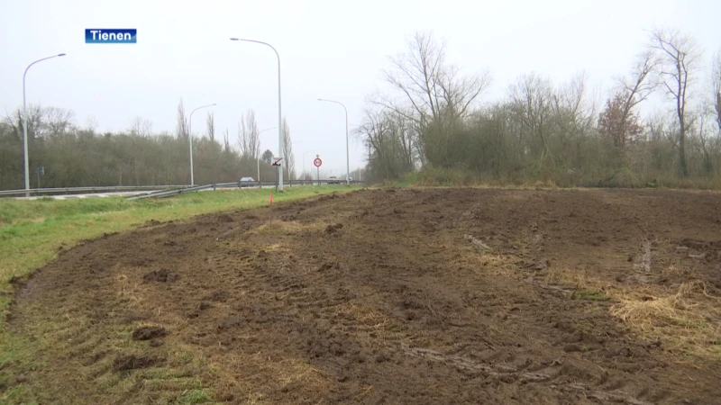 Aannemer vergist zich en ploegt per ongeluk 600 bomen weg in Tienen