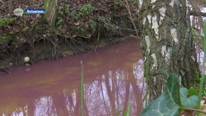 De gracht aan de Plas van Rotselaar heeft sinds gisteren een rode kleur