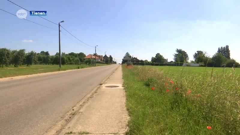 Provincie heeft na tien jaar discussie de plannen rond het soldatenveld en de handelszone aan de Leuvenselaan in Tienen goedgekeurd