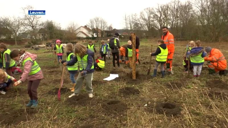 Leerlingen Krullevaar(t) helpen buurtbos aanplanten langs de Armand Meyswijk in Wilsele