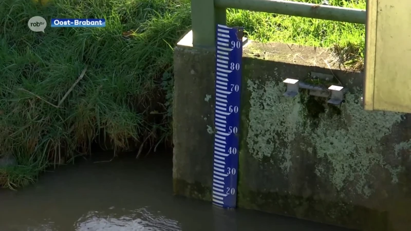 Waterpeil op verschillende plaatsen in onze regio erg hoog na de vele regen van gisteren