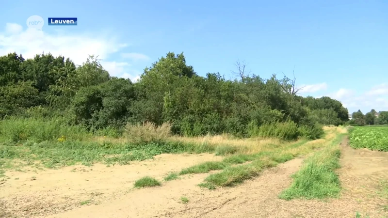 Oorspronkelijke bouwvergunning Parkveld, bos achter schaatsbaan in Leuven, definitief geweigerd