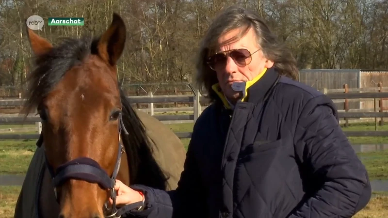 Legendarische jockey Jos Verbeeck zegt paardensport vaarwel: "Het was geweldig"