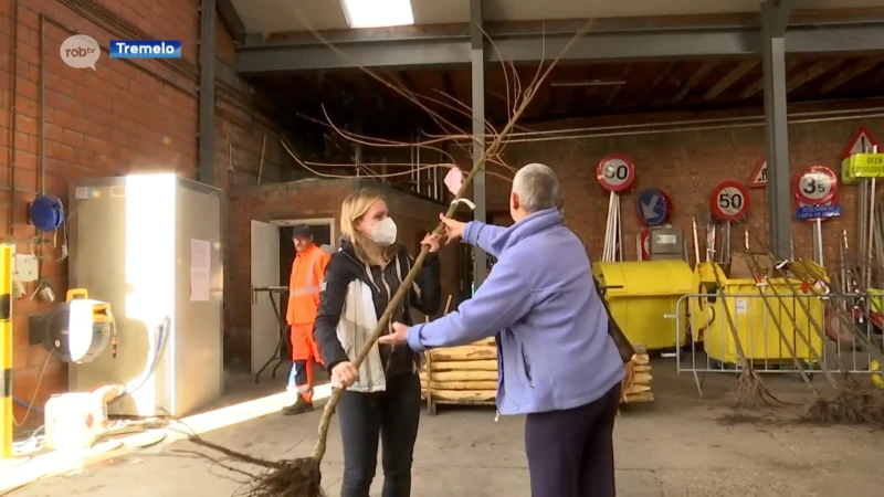 Gemeente Tremelo geeft Valentijnsboompjes aan inwoners: "Parfum is vluchtig, een boom is voor altijd"