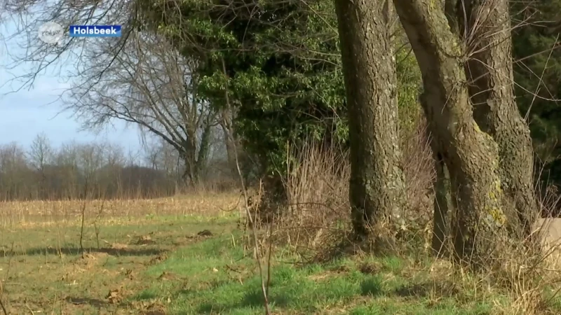 In het gebied Langaard komt een loofbos van 16.100 bomen: "Groen netwerk creëren door bossen te verbinden"