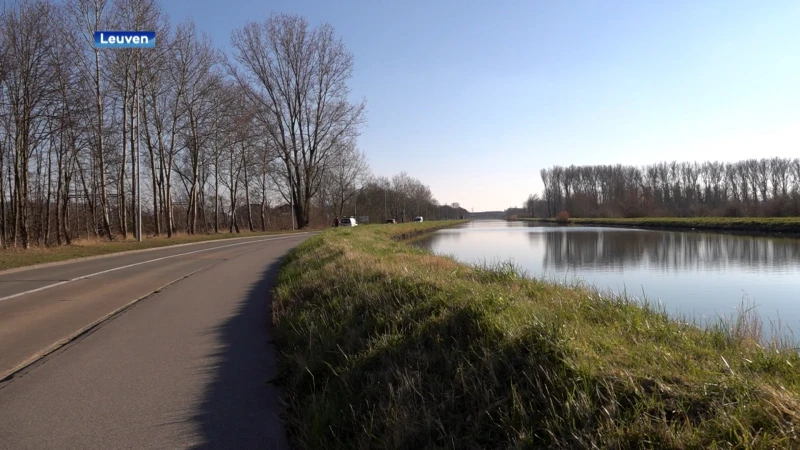 Leuven plant nieuwe bomen en struiken langs de Vaart, waar eind vorig jaar 181 bomen werden gekapt